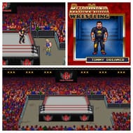 Tommy Dreamer and the House of Hardcore