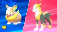 Image result for yamper boltund