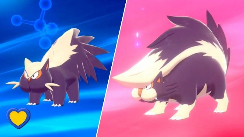 Image result for stunky skuntank pokemon sword and shield