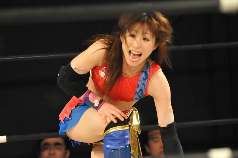 Fujimoto in the ring