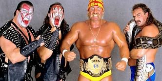 WWE History Vol. 17: The Greatest Survivor Series Teams.