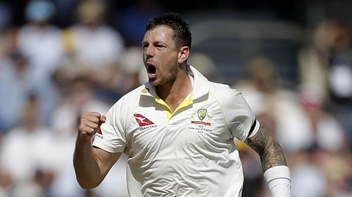 James Pattinson celebrates a wicket