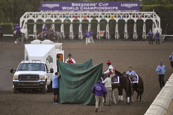 15-1 long shot fatally injured in Breeders' Cup Classic