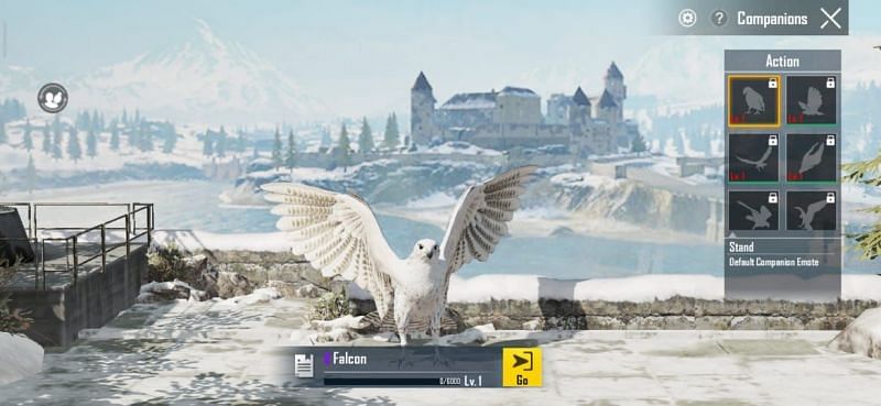 Falcon companion in PUBG Mobile