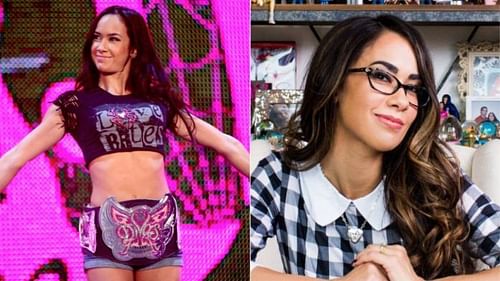 AJ Lee held the Divas Championship when CM Punk left WWE