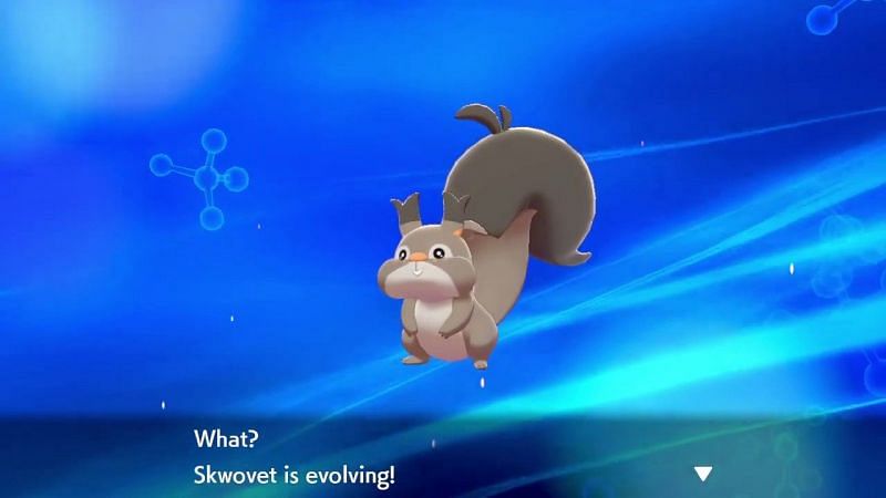 Pokemon Sword: 10 Pokemon worth adding to your Party