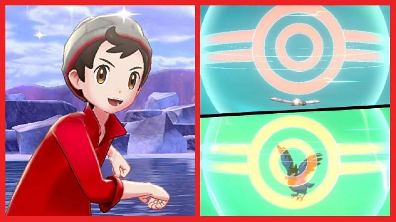 Image result for pokemon sword and shield trade