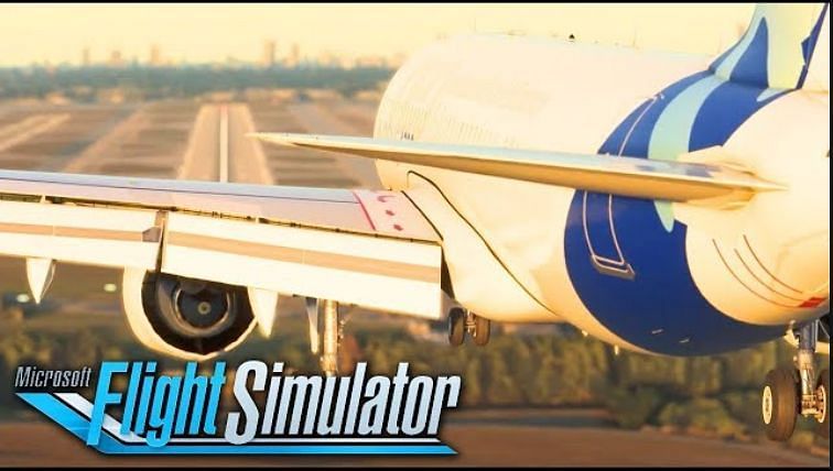 flight simulator x019