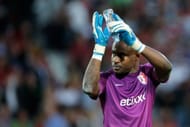 Vincent Enyeama impressed for Lille