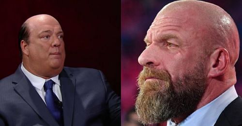 Paul Heyman and Triple H are high on &#039;The Dutch Destroyer&#039; Aleister Black