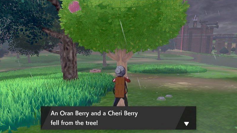 Image result for berries pokemon sword and shield
