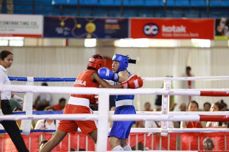 The boxers in action