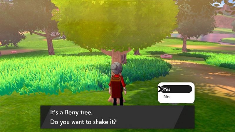 Image result for pokemon sword and shield berries