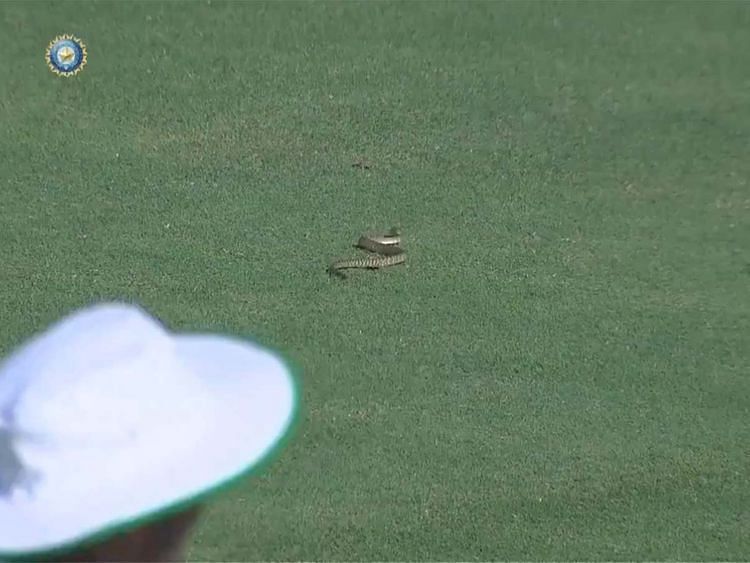 The presence of a snake on the cricket field delayed the start of a Ranji Trophy match