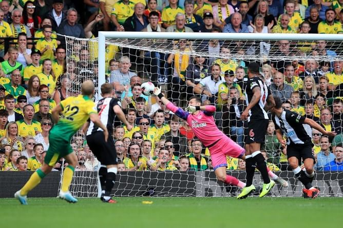 Newcastle United v Norwich City Prediction and Bettings Tips - 1st Feb 2020