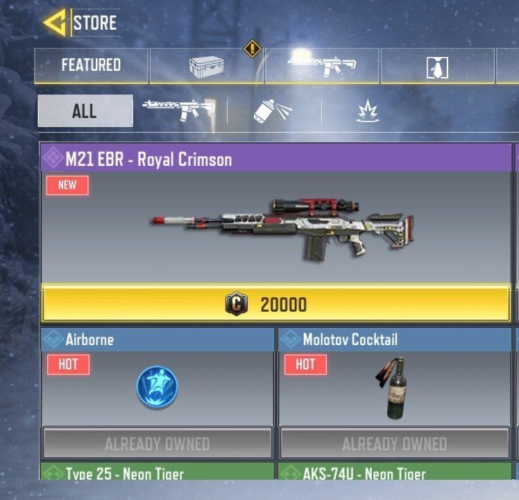 Whats the point of snipers only ,if you can't use your own custom sniper  ,also the only snipers we get is the dlq and artic , wouldn't snipers only  be great if