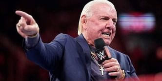 WWE News- Ric Flair names former NXT Champion as one of the company's top 5 performers