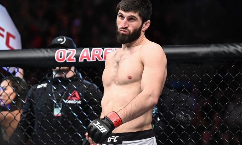 Magomed Ankalaev is the UFC&#039;s best prospect at 205lbs