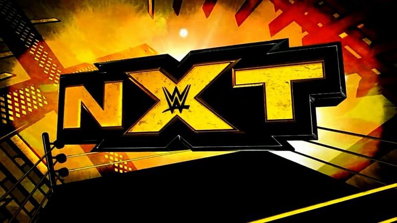 NXT is chock full of talented stars waiting to make their impact.