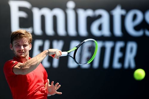 David Goffin