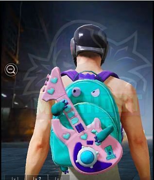 Backpack Skin