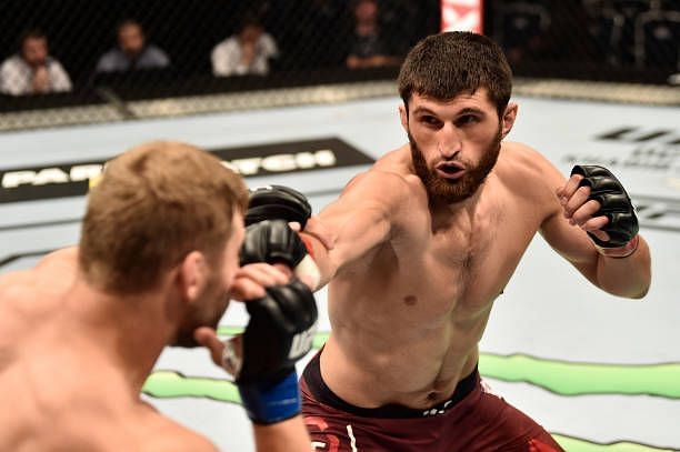 Magomed Ankalaev could enter title contention with a big win this weekend
