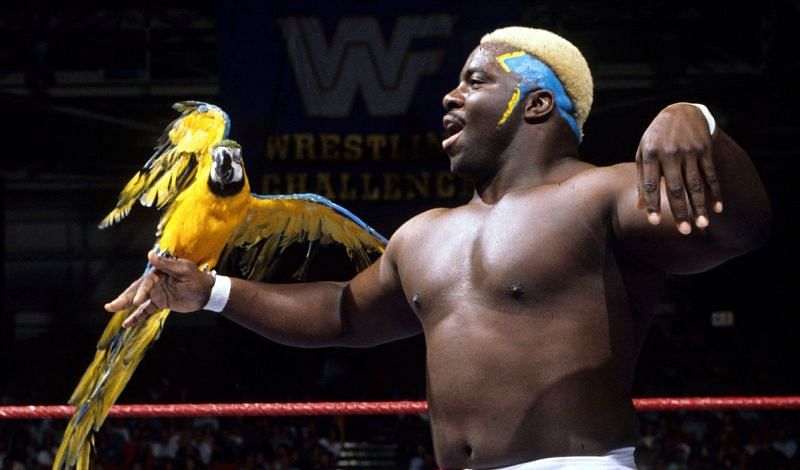 Koko B. Ware and Frankie were an iconic duo