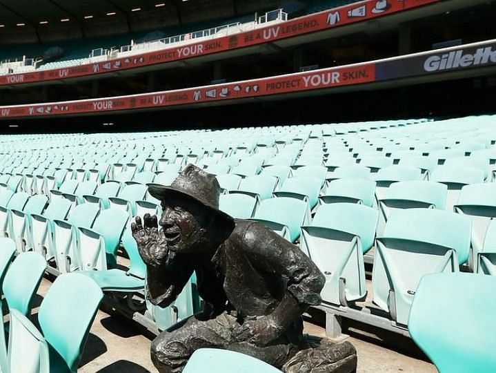 The only spectator at the first ODI between Australia and New Zealand had bones made of metal