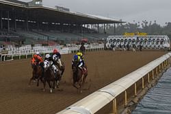 Virus doesn't deter horse racing at US tracks, but few fans