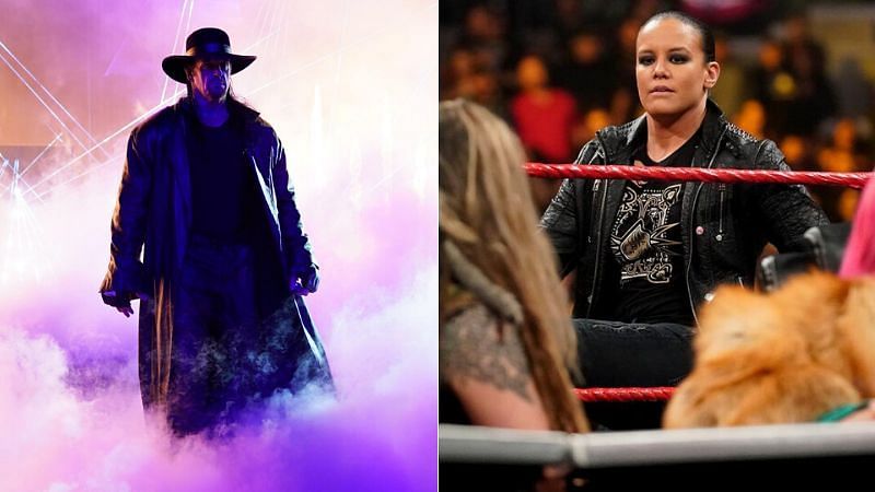Will The Undertaker appear at Elimination Chamber?