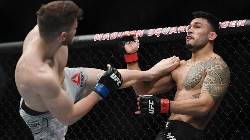 Edmen Shahbazyan dealt with Brad Tavares in violent fashion in his last fight