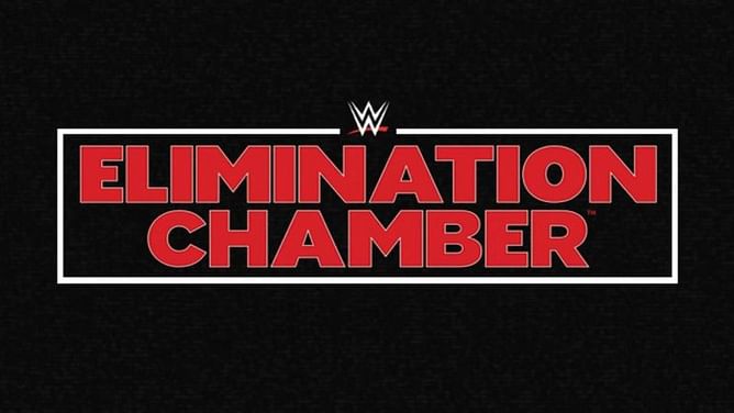 WWE Superstar wins his first singles championship on the main roster at Elimination Chamber 2020