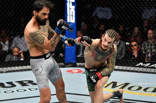 Sean O'Malley in action at UFC 248