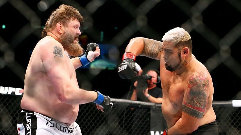 The iron chinned Roy Nelson became a victim of Mark Hunt&#039;s power in 2014