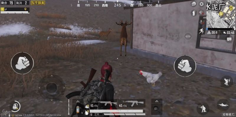 Random animals such as chickens on the map