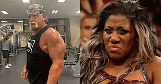 WWE Rumor राउंडअप: हल्क होगन की वापसी पर अपडेट, रॉ में देखने को मिलेगा दिलचस्प सैगमेंट