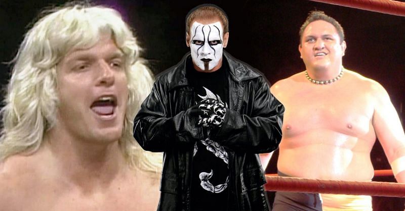 Triple H, Sting, and Samoa Joe