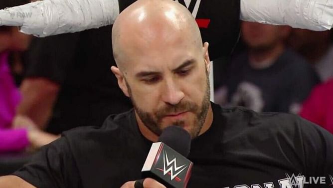 Update on WWE's plans for Cesaro