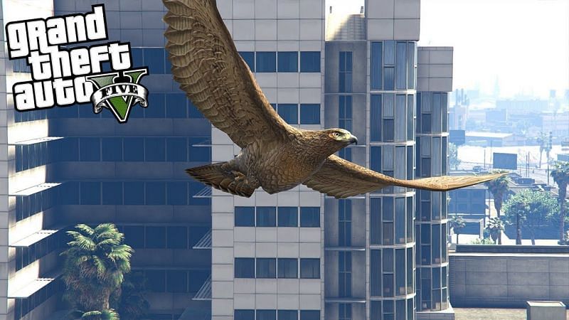Playing as a Hawk in GTA 5 (picture credits: cassanovagames)