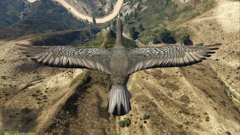 Playing as a bird in GTA 5