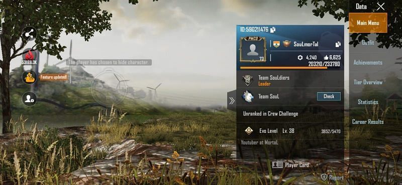 Soul Mortal PUBG ID