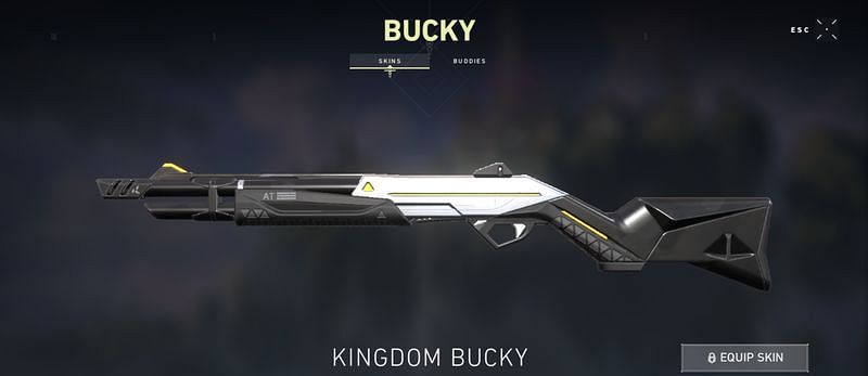 Kingdom Bucky