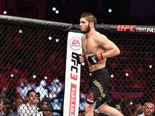 Khabib Nurmagomedov