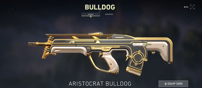 Aristocrat Bulldog