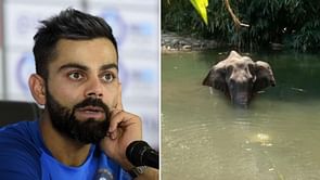 'We are Savages': Rohit Sharma, Virat Kohli react to pregnant elephant's death in Kerala