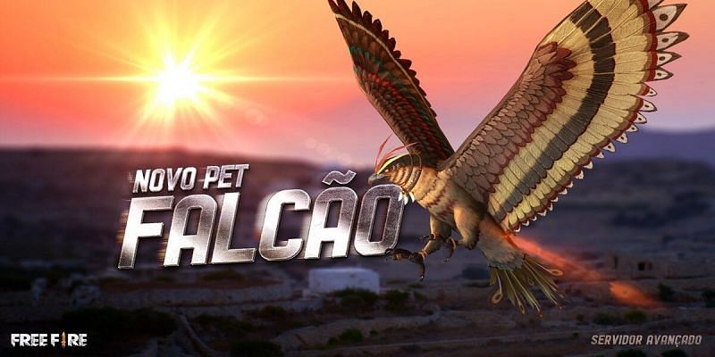 Here's why you are unable to claim Falcon pet in Free Fire