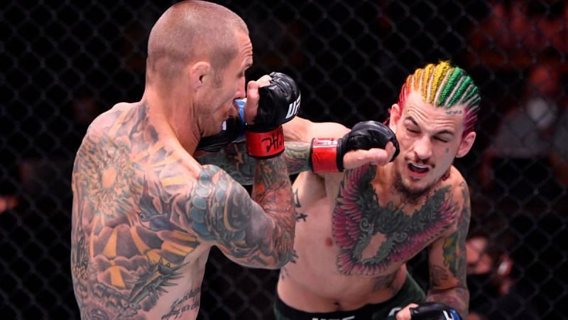 Sean O'Malley impressed with his brutal knockout of Eddie Wineland at UFC 250