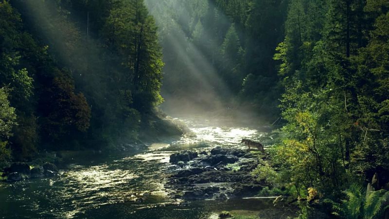 Indulge in the beautiful scenery that Far Cry 5 has to offer. Image: Pinterest.