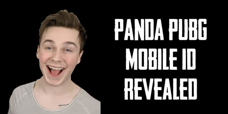 Panda PUBG Mobile ID Revealed