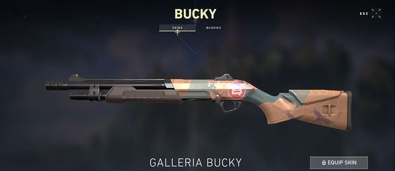 Galleria Bucky